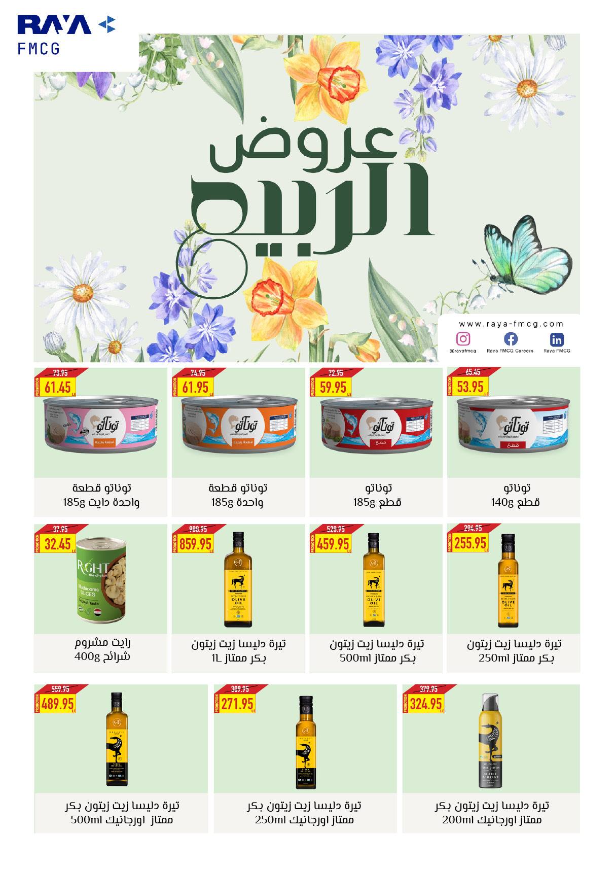 oscar offers from 2apr to 31apr 2025 عروض أوسكار من 2 إبريل حتى 31 إبريل 2025 صفحة رقم 17